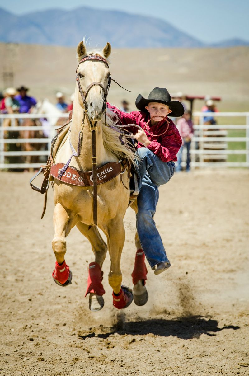 Photo Contest 2015 Images | Santaquin, UT