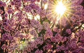 April 2025 Photo Contest Winner - Henrik Patterson