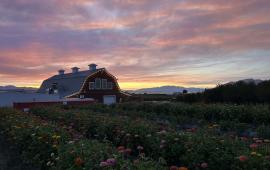 July 2025 Photo Contest Winner - Mackenzie Lind