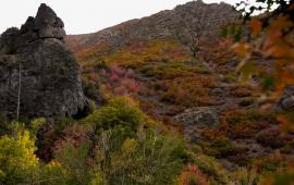 September 2025 Photo Contest Winner - Albina Truax