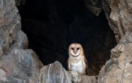 March 2026 Photo Contest Winner - Spencer Covert