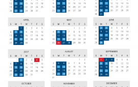 2025 Collection Calendar