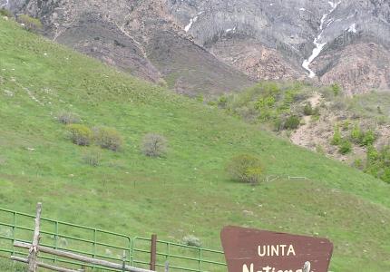 National Forest