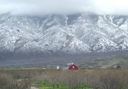 Utah Farming