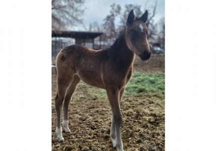 March Photo Contest Winner - Ashley Powell