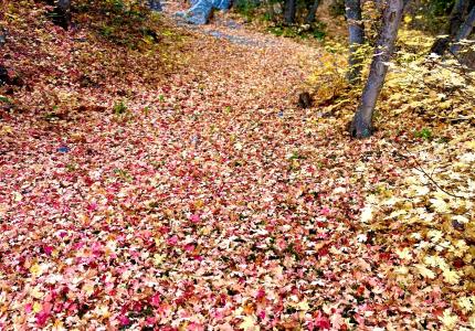 November 2023 Photo Contest Winner - Kara Staley