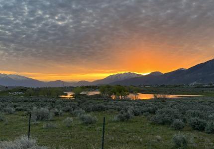 2023 Overall Winning Image - Vanessa Wallace