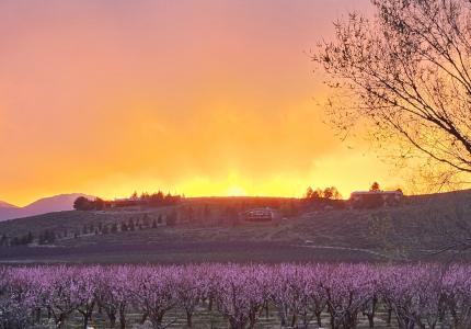 April 2024 Photo Contest Winner - Brian Nilson