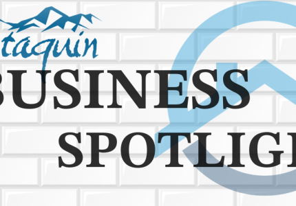 Business Spotlight Icon