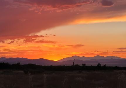 June 2024 Photo Contest Winner - Ruth Nilson
