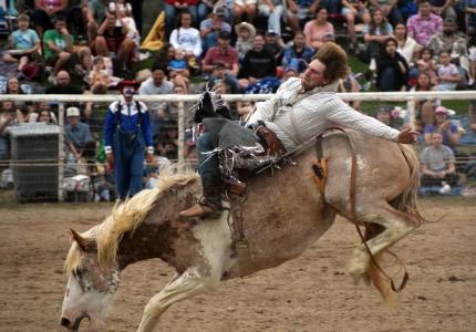 August 2024 Photo Contest Winner - Laurie Kauer