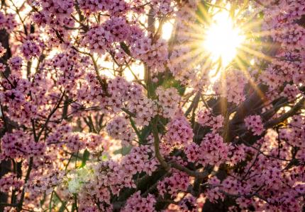 April 2025 Photo Contest Winner - Henrik Patterson