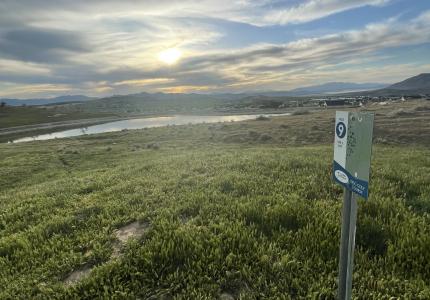 Disc Golf Course