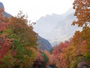 October Image