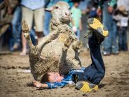 July 2016 Winner - Steve Gray