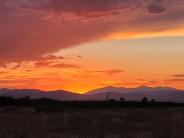 June Winner Ruth Nilson