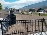 Dog Park 1