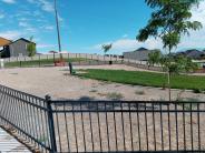 Dog Park 3