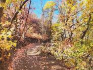 Trail 3