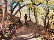 Trail 4