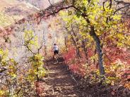 Trail 7