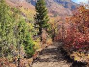 Trail 8