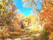 Trail 2