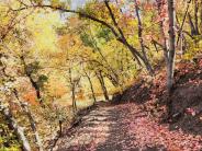 Trail 1