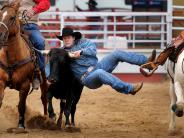 Rodeo