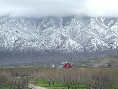 Utah Farming
