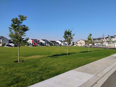 Badger Way Foothill Village Park