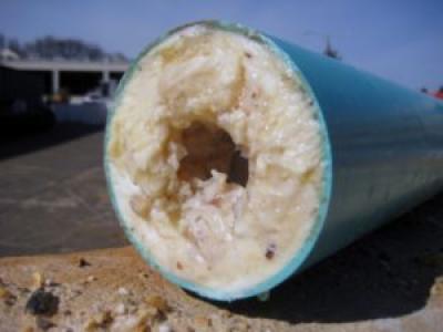 grease in sewer