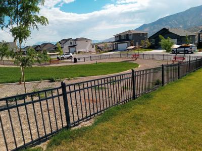 Dog Park