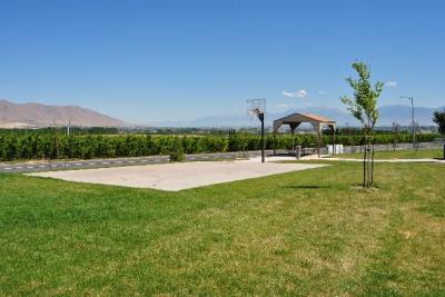 Cottonwood Park