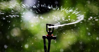 Pressurized Irrigation
