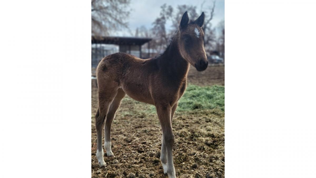 March Photo Contest Winner - Ashley Powell