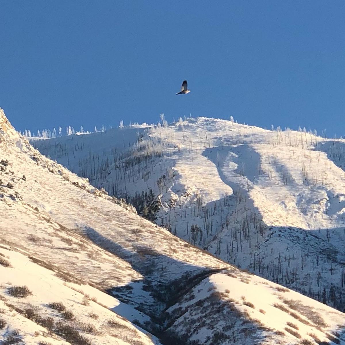 January Photo Contest Winner - Katie Tesi