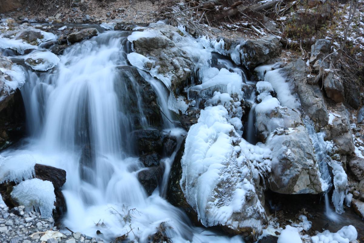 November 2022 Photo Contest Winner - Matt Mills
