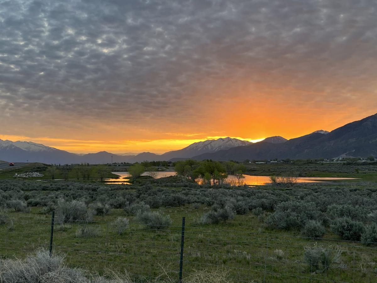 Overall Winner of 2023 Photo Contest - Vanessa Wallace