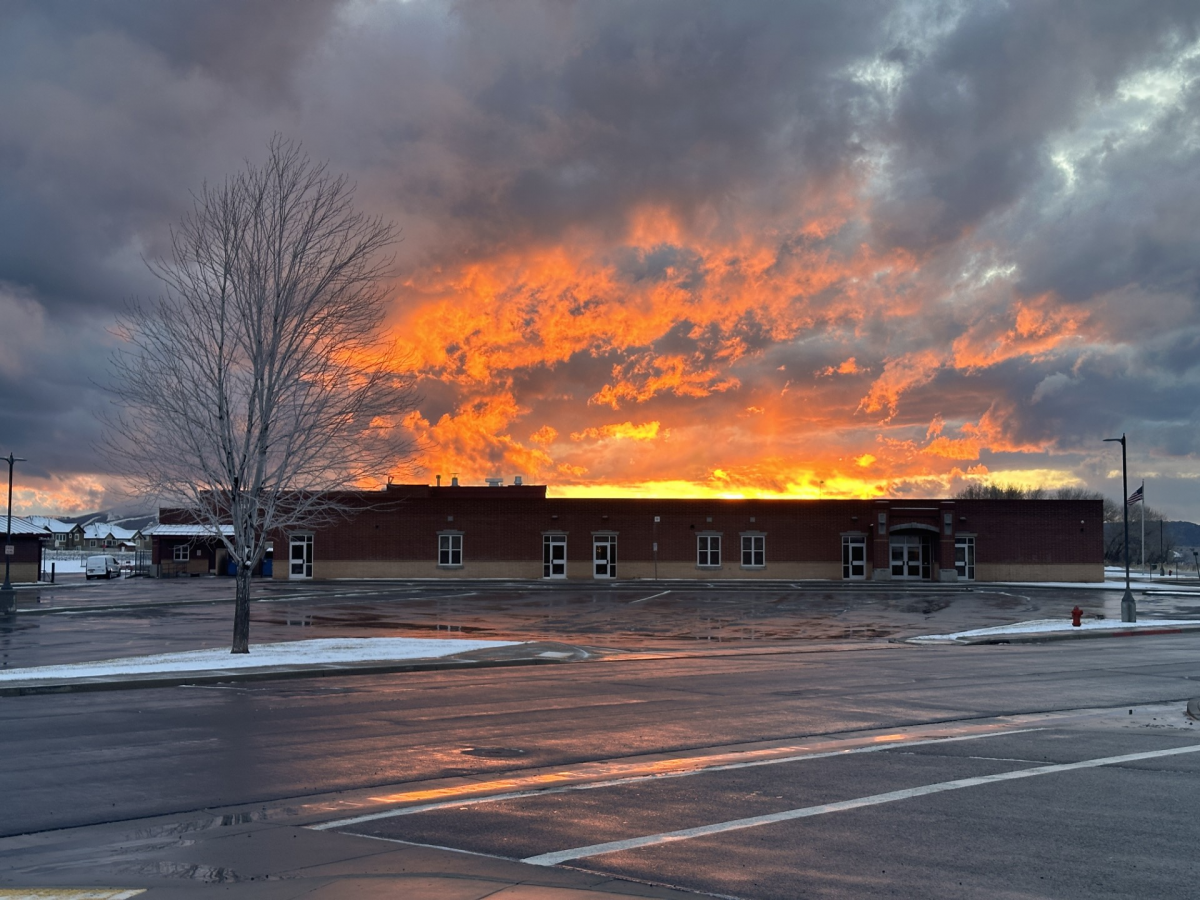 February 2024 Photo Contest Winner - Kristin Collins