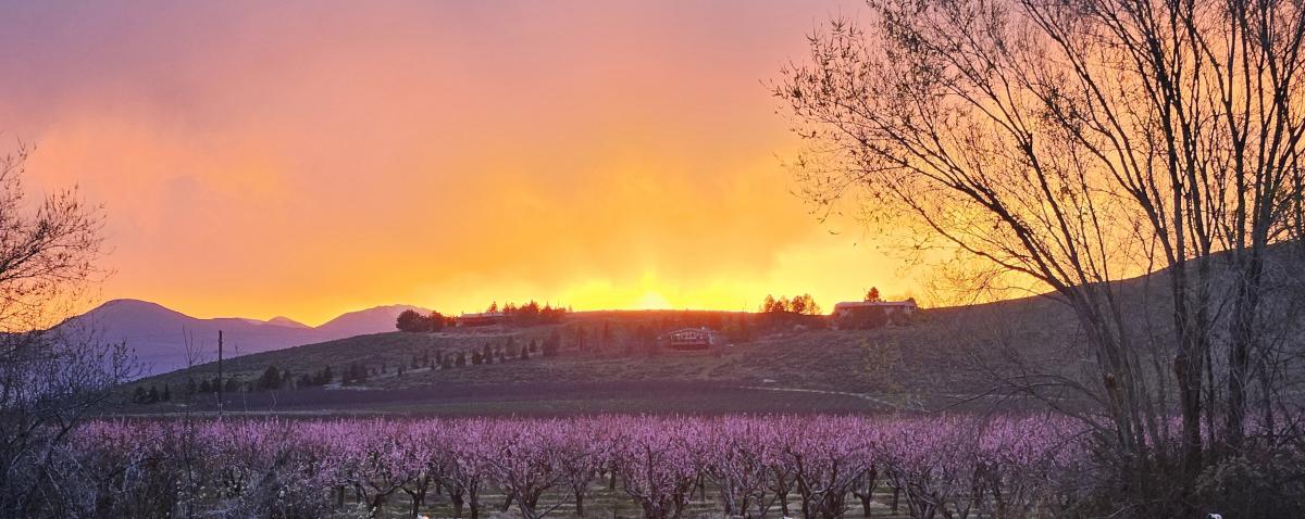 April 2024 Photo Contest Winner - Brian Nilson