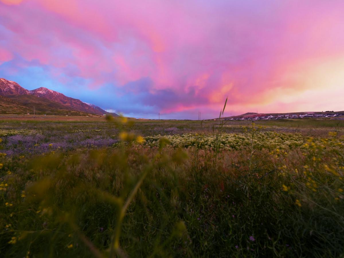 May 2025 Photo Contest Winner - Zach Rasmussen