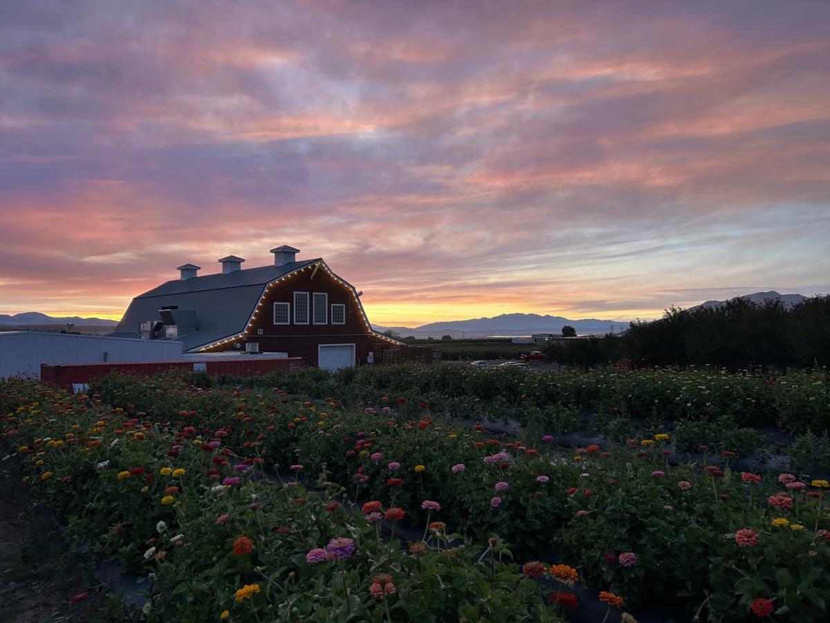 July 2025 Photo Contest Winner - Mackenzie Lind