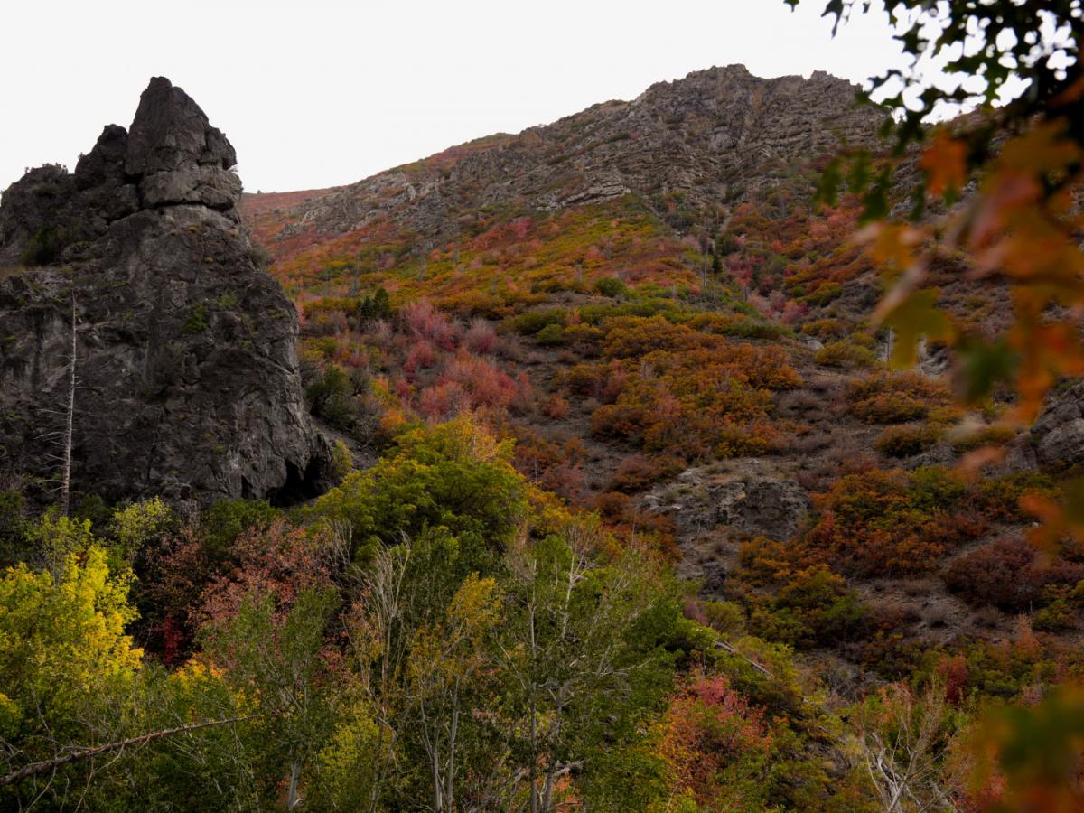 September 2025 Photo Contest Winner - Albina Truax