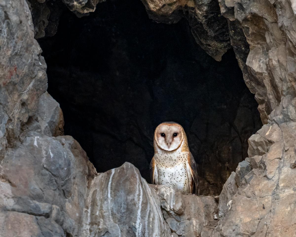 March 2026 Photo Contest Winner - Spencer Covert