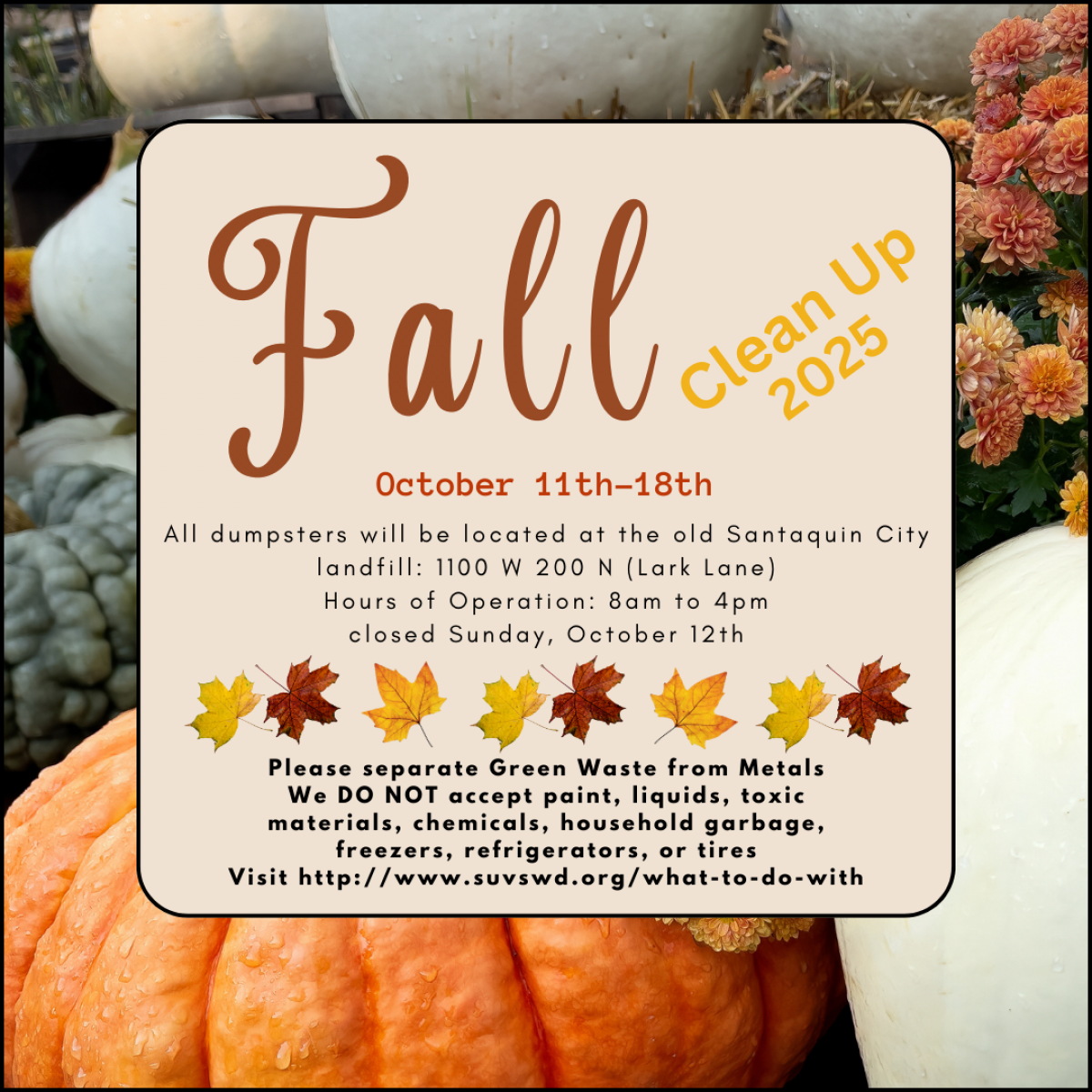 Fall Clean Up