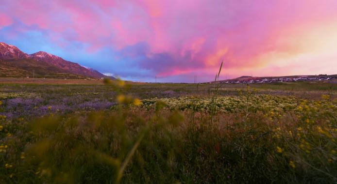 May 2025 Photo Contest Winner - Zach Rasmussen