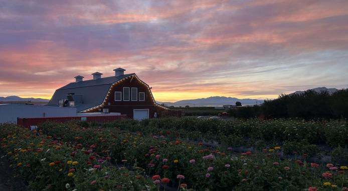 July 2025 Photo Contest Winner - Mackenzie Lind