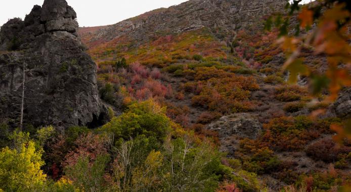 September 2025 Photo Contest Winner - Albina Truax