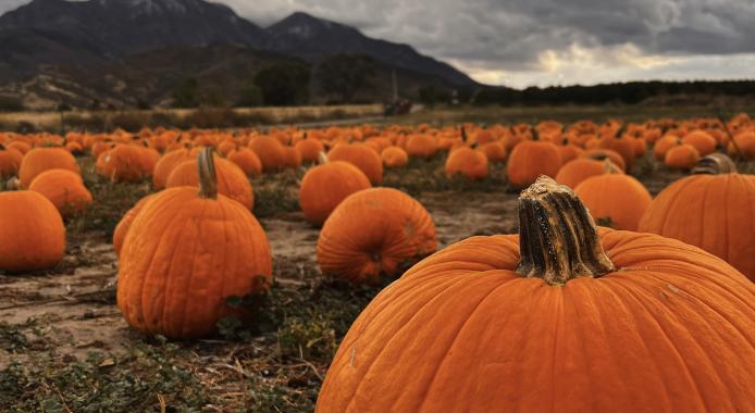 October 2025 Photo Contest Winner - Amber Child